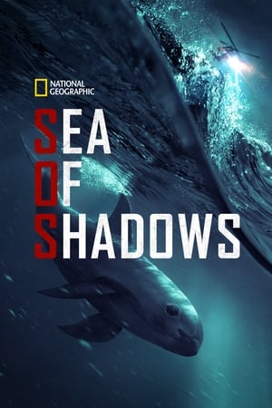 watch Sea of Shadows