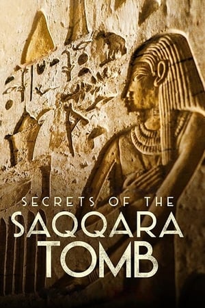 Secrets of the Saqqara Tomb watch Secrets of the Saqqara Tomb
