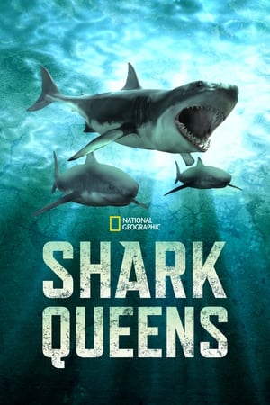 Shark Queens watch Shark Queens