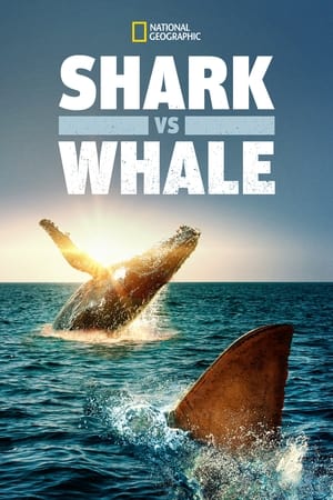 watch Shark Vs. Whale