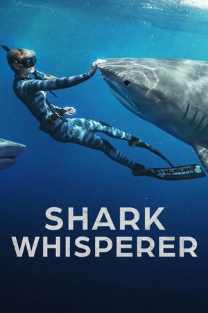 watch Shark Whisperer