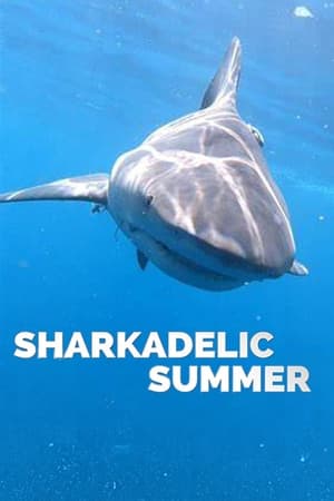 Sharkadelic Summer watch Sharkadelic Summer
