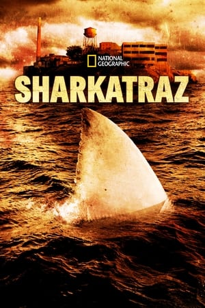 Sharkatraz watch Sharkatraz