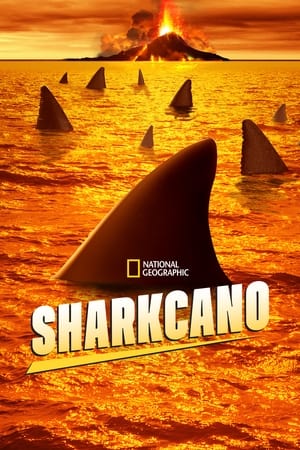 Sharkcano watch Sharkcano