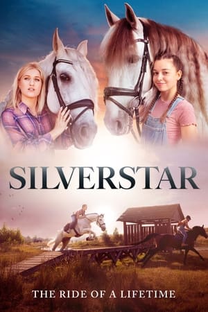 Silverstar watch Silverstar