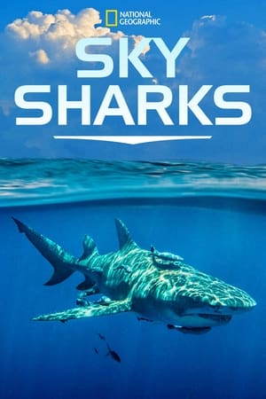 watch Sky Sharks