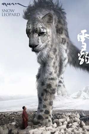 Snow Leopard watch Snow Leopard