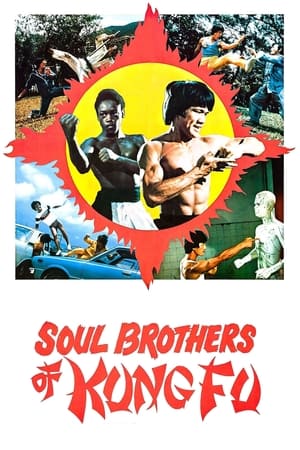 watch Soul Brothers of Kung Fu