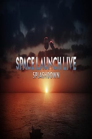 Space Launch Live: Splashdown watch Space Launch Live: Splashdown