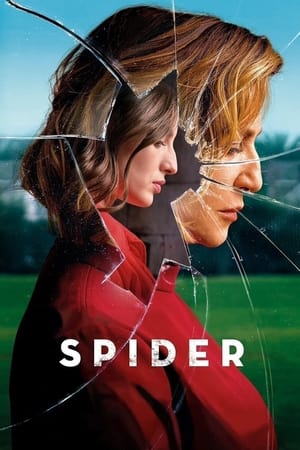 Spider watch Spider