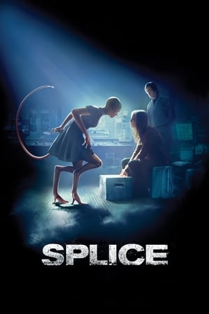Splice watch Splice