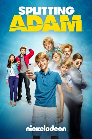 Splitting Adam watch Splitting Adam