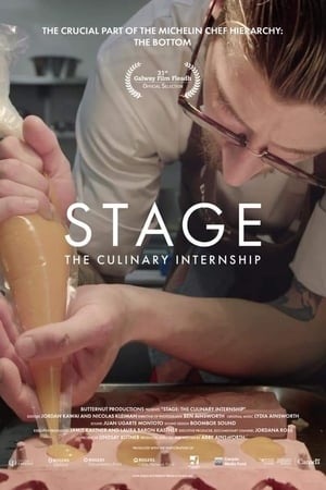 watch Stage: The Culinary Internship