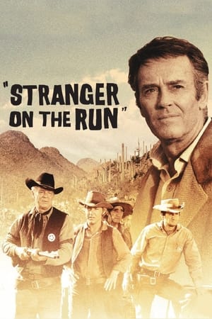 watch Stranger on the Run