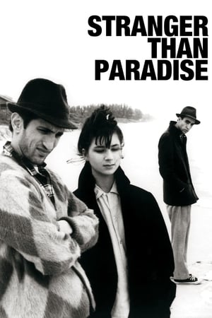 Stranger Than Paradise watch Stranger Than Paradise