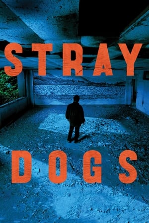 Stray Dogs watch Stray Dogs