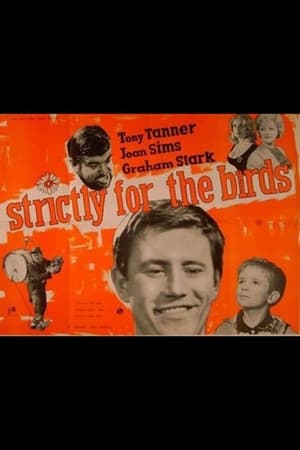 watch Strictly for the Birds