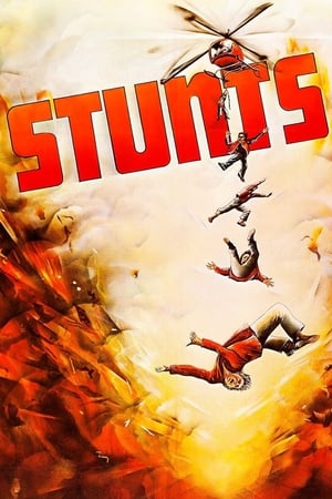 watch Stunts