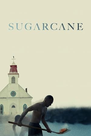 Sugarcane watch Sugarcane