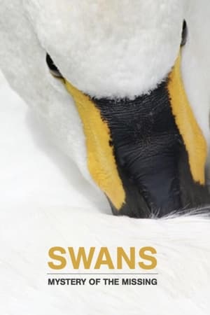 Swans: Mystery of the Missing watch Swans: Mystery of the Missing