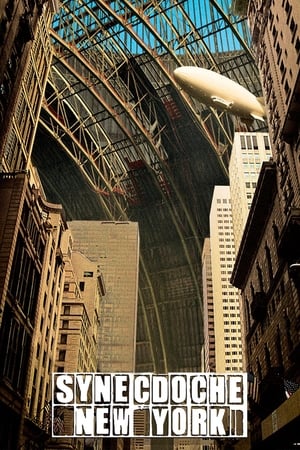 watch Synecdoche, New York