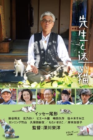 watch Teacher and Stray Cat