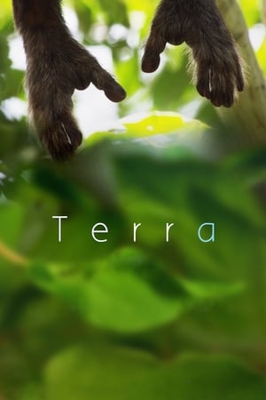 Terra watch Terra