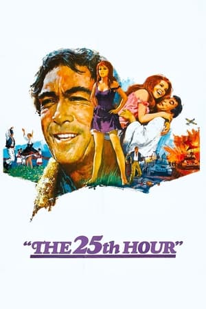 The 25th Hour watch The 25th Hour