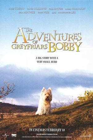 The Adventures of Greyfriars Bobby watch The Adventures of Greyfriars Bobby