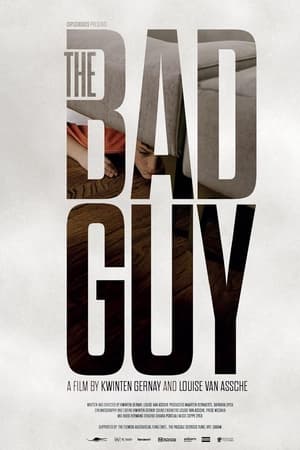 watch The Bad Guy