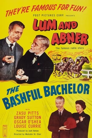 watch The Bashful Bachelor