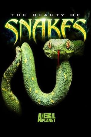 The Beauty of Snakes watch The Beauty of Snakes