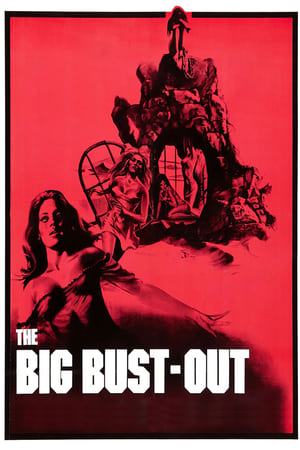 watch The Big Bust-Out