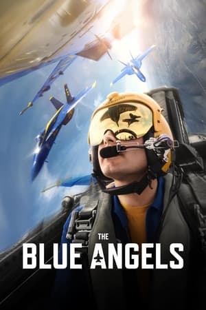The Blue Angels watch The Blue Angels