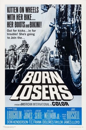 The Born Losers watch The Born Losers