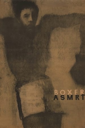 The Boxer and Death watch The Boxer and Death
