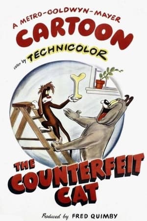 watch The Counterfeit Cat