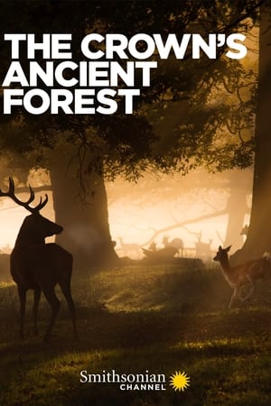watch The Crown's Ancient Forest