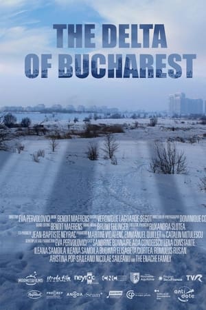 The Delta of Bucharest watch The Delta of Bucharest