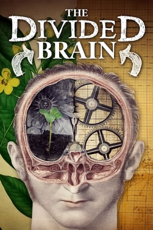 The Divided Brain watch The Divided Brain
