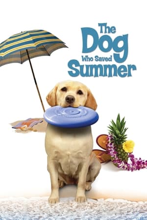 watch The Dog Who Saved Summer