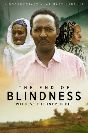 The End of Blindness watch The End of Blindness