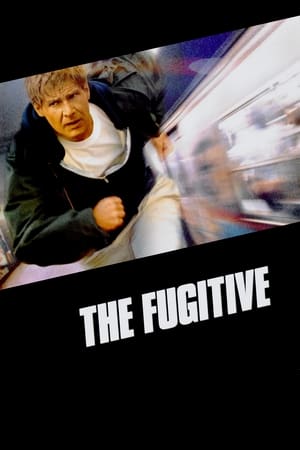 The Fugitive watch The Fugitive