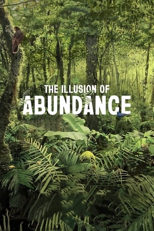 watch The Illusion of Abundance