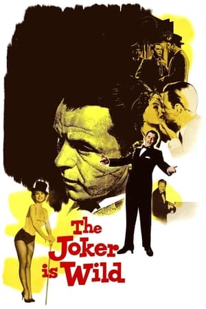 watch The Joker Is Wild