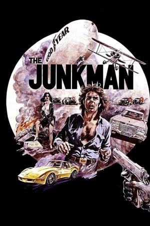watch The Junkman
