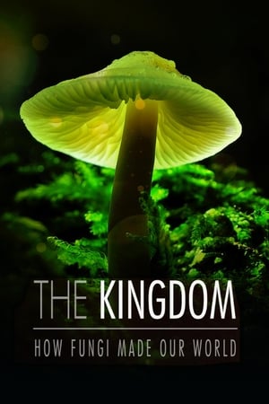 watch The Kingdom: How Fungi Made Our World