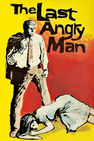 The Last Angry Man watch The Last Angry Man