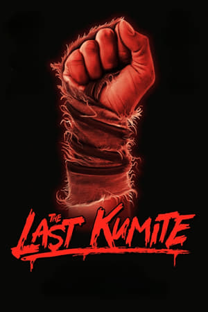 The Last Kumite watch The Last Kumite