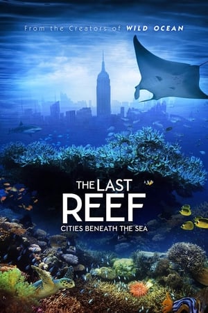 The Last Reef: Cities Beneath the Sea watch The Last Reef: Cities Beneath the Sea